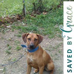 Meet your Posher, Nakeisha